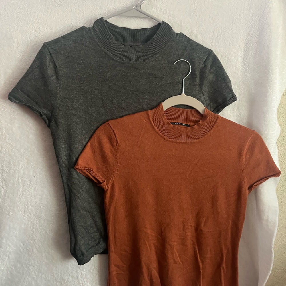 Tahari Rust Crewneck Ribbed Sweater